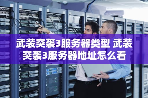 武装突袭3服务器类型 武装突袭3服务器地址怎么看