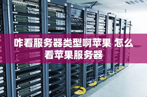 咋看服务器类型啊苹果 怎么看苹果服务器