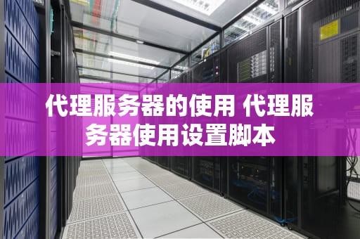 代理服务器的使用 代理服务器使用设置脚本