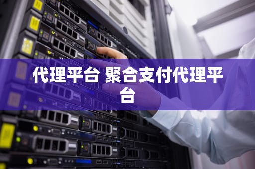 代理平台 聚合支付代理平台