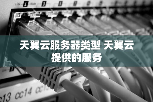 天翼云服务器类型 天翼云提供的服务