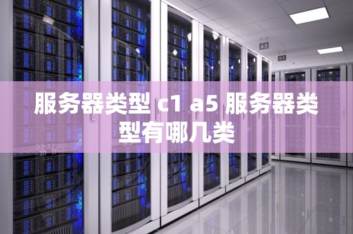 服务器类型 c1 a5 服务器类型有哪几类