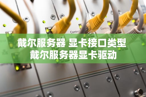 戴尔服务器 显卡接口类型 戴尔服务器显卡驱动