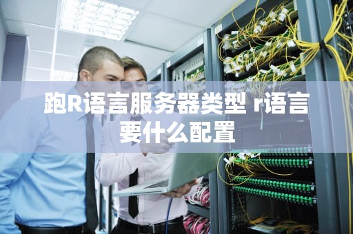 跑R语言服务器类型 r语言要什么配置