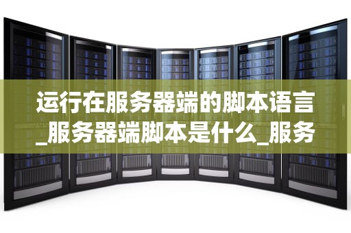 运行在服务器端的脚本语言_服务器端脚本是什么_服务器端脚本语言的探索与应用