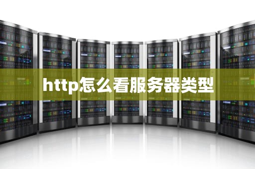 http怎么看服务器类型
