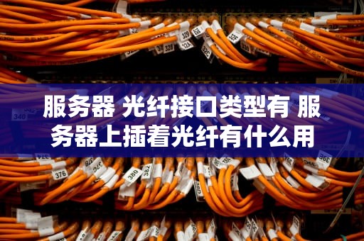 服务器 光纤接口类型有 服务器上插着光纤有什么用