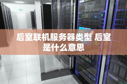 后室联机服务器类型 后室是什么意思