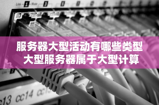 服务器大型活动有哪些类型 大型服务器属于大型计算机吗