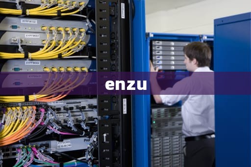 enzu