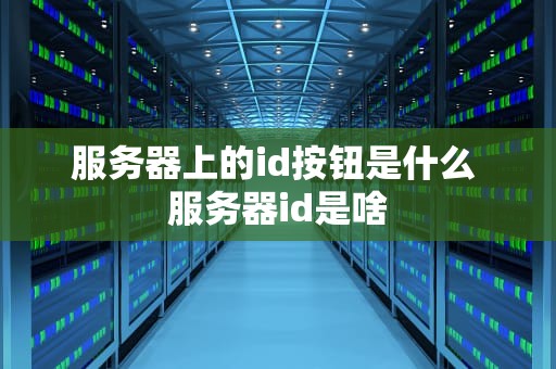 服务器上的id按钮是什么 服务器id是啥
