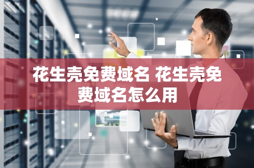 花生壳免费域名 花生壳免费域名怎么用