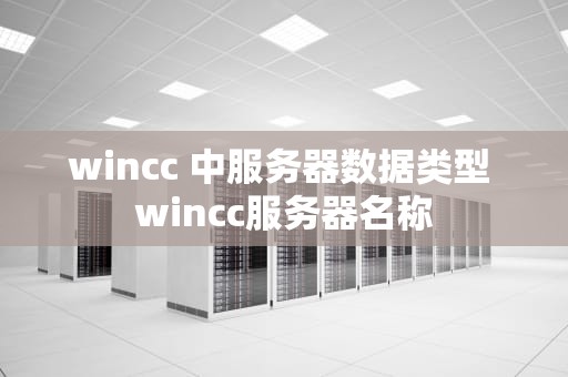 wincc 中服务器数据类型 wincc服务器名称