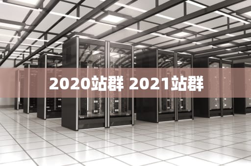 2020站群 2021站群