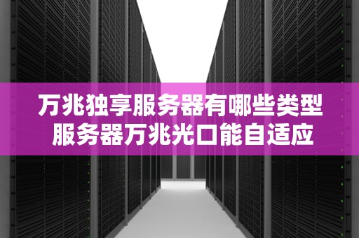 万兆独享服务器有哪些类型 服务器万兆光口能自适应千兆吗