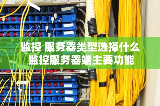 监控 服务器类型选择什么 监控服务器端主要功能