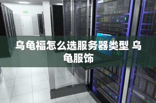乌龟福怎么选服务器类型 乌龟服饰
