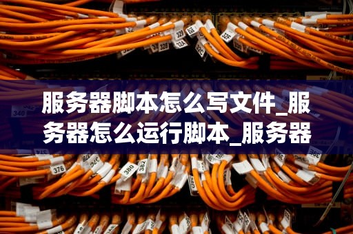 服务器脚本怎么写文件_服务器怎么运行脚本_服务器脚本编写文件的全面指南