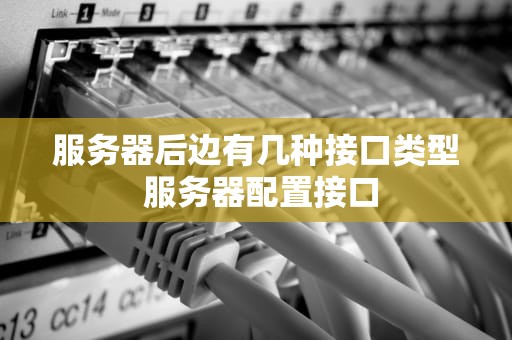 服务器后边有几种接口类型 服务器配置接口