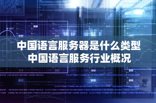 中国语言服务器是什么类型 中国语言服务行业概况