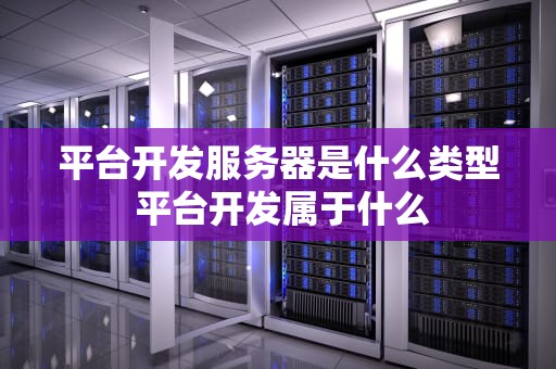 平台开发服务器是什么类型 平台开发属于什么