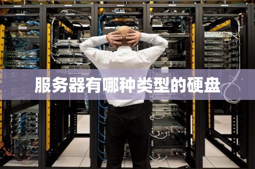 服务器有哪种类型的硬盘