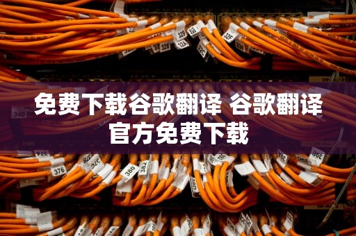 免费下载谷歌翻译 谷歌翻译官方免费下载