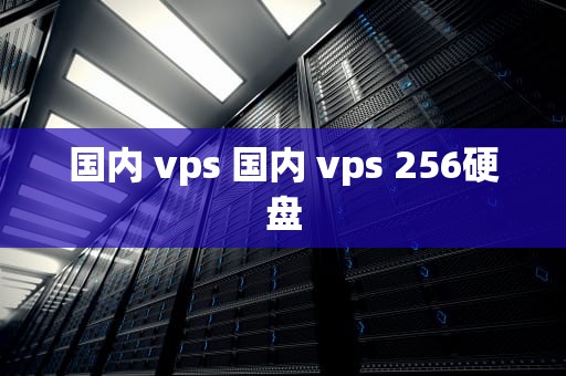 国内 vps 国内 vps 256硬盘