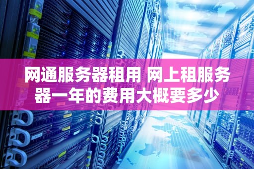网通服务器租用 网上租服务器一年的费用大概要多少