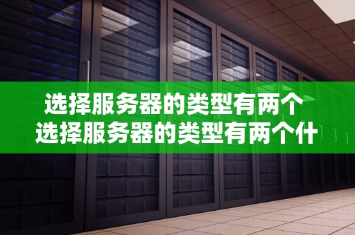 选择服务器的类型有两个 选择服务器的类型有两个什么