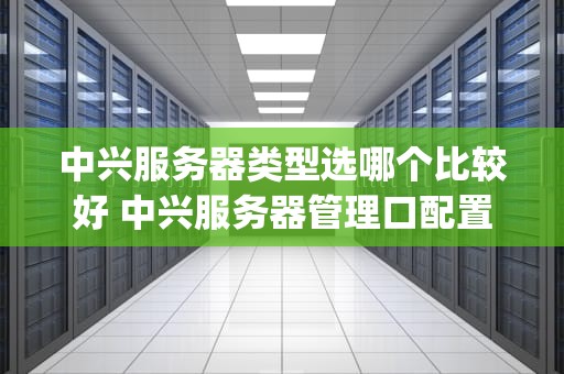 中兴服务器类型选哪个比较好 中兴服务器管理口配置ip
