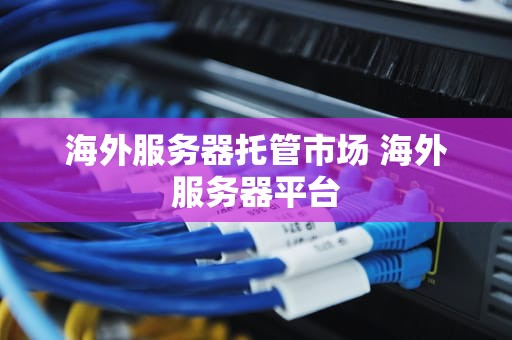 海外服务器托管市场 海外服务器平台