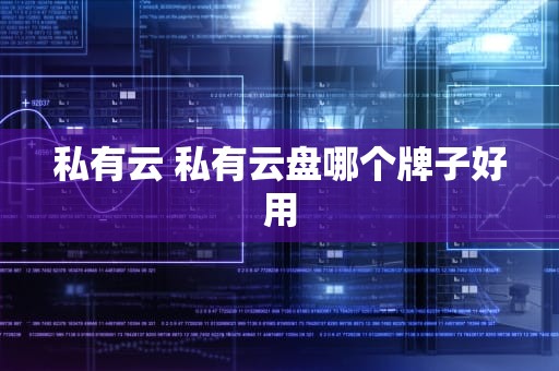 私有云 私有云盘哪个牌子好用