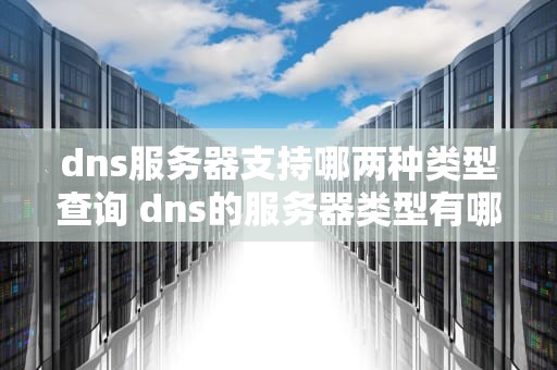 dns服务器支持哪两种类型查询 dns的服务器类型有哪些