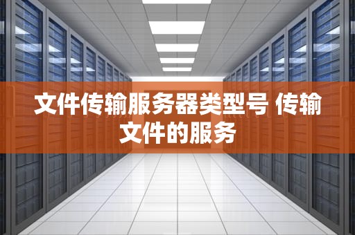 文件传输服务器类型号 传输文件的服务