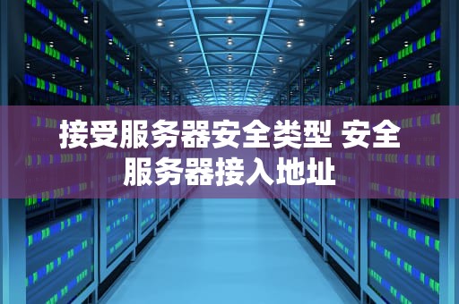 接受服务器安全类型 安全服务器接入地址