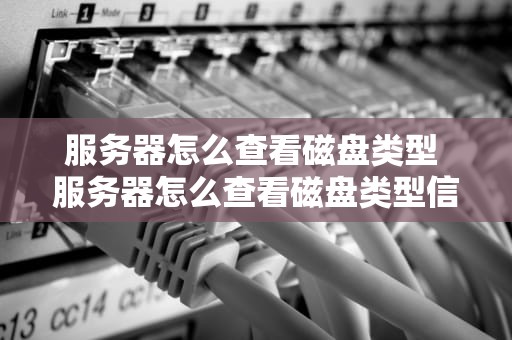 服务器怎么查看磁盘类型 服务器怎么查看磁盘类型信息