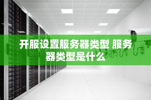 开服设置服务器类型 服务器类型是什么
