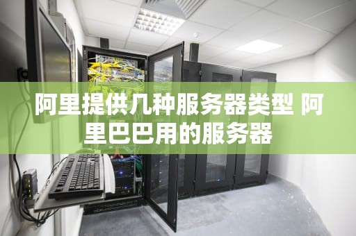 阿里提供几种服务器类型 阿里巴巴用的服务器