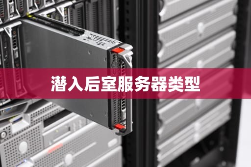 潜入后室服务器类型