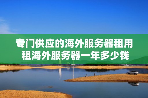 专门供应的海外服务器租用 租海外服务器一年多少钱