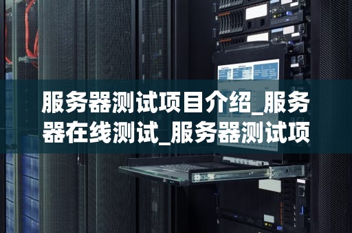 服务器测试项目介绍_服务器在线测试_服务器测试项目介绍