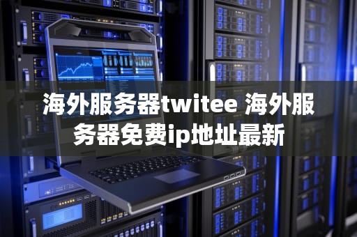海外服务器twitee 海外服务器免费ip地址最新