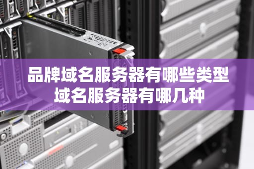 品牌域名服务器有哪些类型 域名服务器有哪几种
