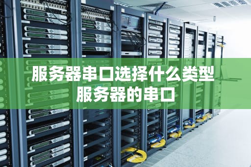 服务器串口选择什么类型 服务器的串口