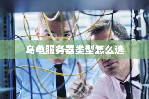 乌龟服务器类型怎么选
