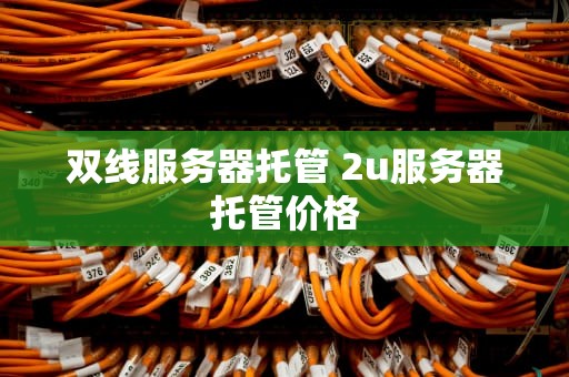 双线服务器托管 2u服务器托管价格