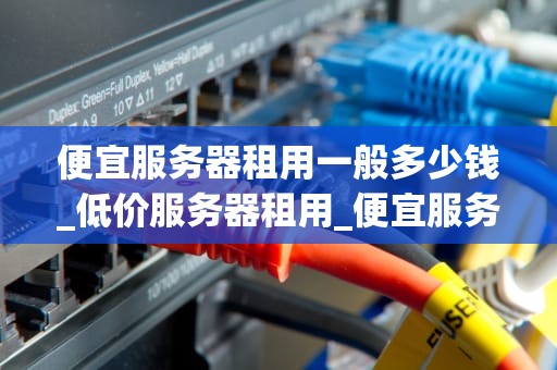 便宜服务器租用一般多少钱_低价服务器租用_便宜服务器租用的全面解析
