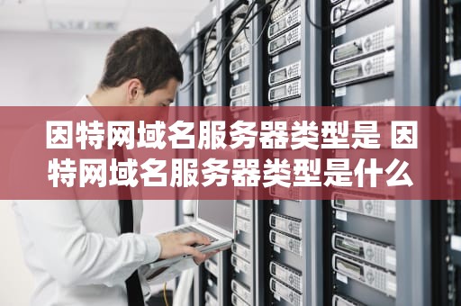 因特网域名服务器类型是 因特网域名服务器类型是什么意思