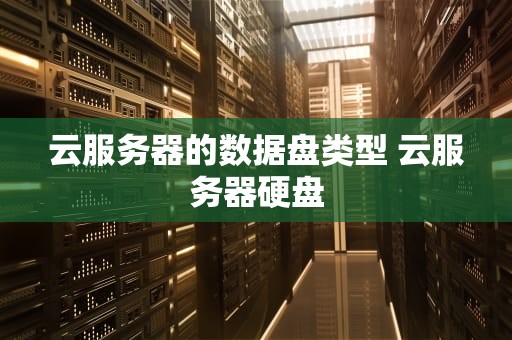 云服务器的数据盘类型 云服务器硬盘